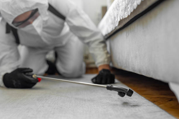 Professional Bed Bug Control technician working in Mesilla, NM
